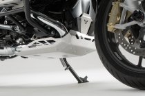 Engine guard Silver. BMW R 1200 R (14-18) / R 1200 RS (14-16).